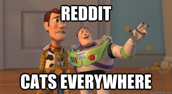Reddit Cats everywhere  Toy Story Everywhere