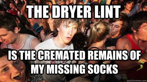 THE DRYER LINT IS THE CREMATED REMAINS OF MY MISSING SOCKS  Sudden Clarity Clarence