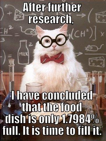 AFTER FURTHER RESEARCH,  I HAVE CONCLUDED THAT THE FOOD DISH IS ONLY 1.7984% FULL. IT IS TIME TO FILL IT. Chemistry Cat