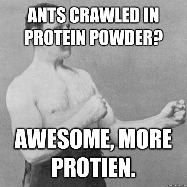 Ants crawled in protein powder? Awesome, more protien.  overly manly man