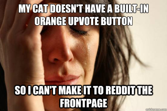 my cat doesn't have a built-in orange upvote button so I can't make it to reddit the frontpage  First World Problems