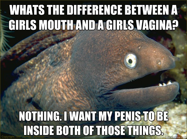 Whats the difference between a girls mouth and a girls vagina? Nothing. I want my penis to be inside both of those things.  Bad Joke Eel