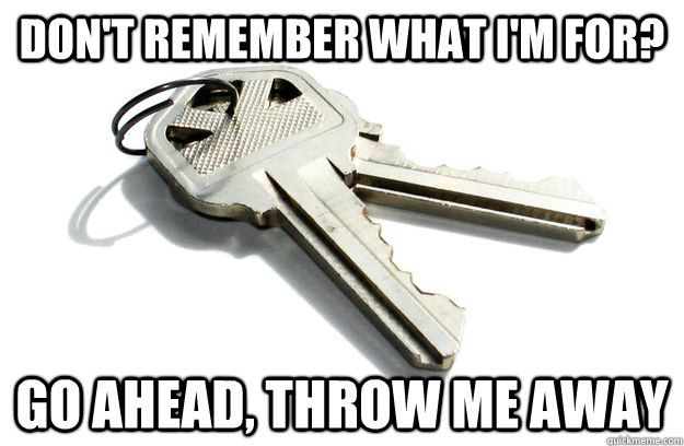 Don't remember what I'm for? Go ahead, throw me away - Don't remember what I'm for? Go ahead, throw me away  Annoying Keys