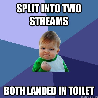 Split into two streams  Both landed in toilet  - Split into two streams  Both landed in toilet   Success Kid