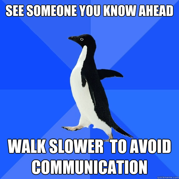 See someone you know ahead Walk slower  to avoid communication  Socially Awkward Penguin