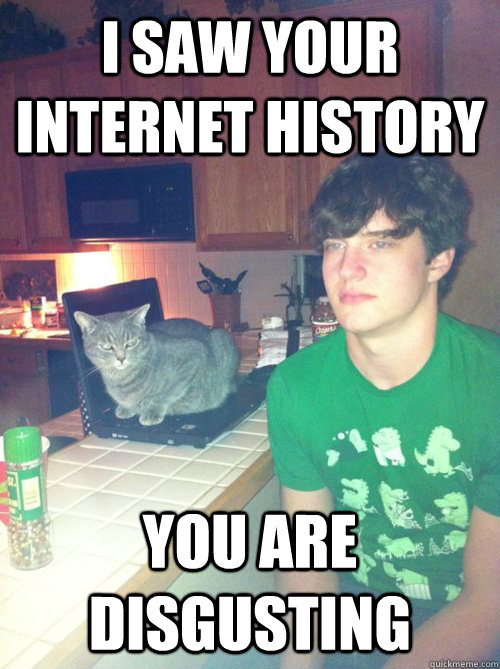 I saw your internet history You are disgusting - I saw your internet history You are disgusting  Disappointed internet cat