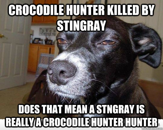 Crocodile hunter killed by stingray does that mean a stngray is really a crocodile hunter hunter - Crocodile hunter killed by stingray does that mean a stngray is really a crocodile hunter hunter  Skeptical Dog is Skeptical