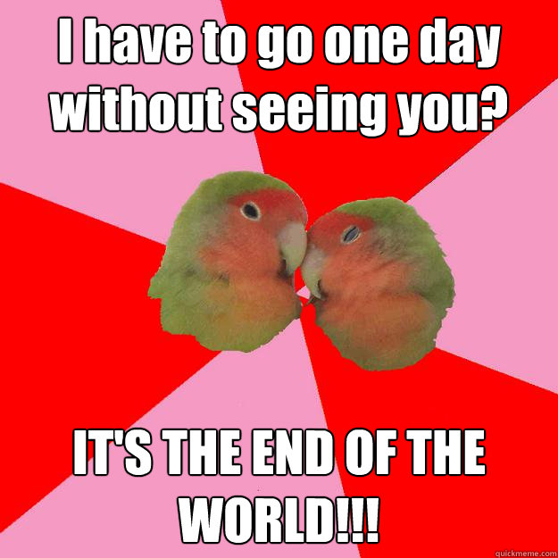 I have to go one day without seeing you? IT'S THE END OF THE WORLD!!!  Annoying Lovebirds