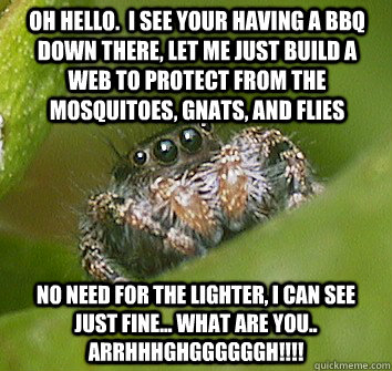 Oh hello.  I see your having a bbq down there, let me just build a web to protect from the mosquitoes, gnats, and flies No need for the lighter, I can see just fine... what are you.. ARRHHHGHGGGGGGH!!!! - Oh hello.  I see your having a bbq down there, let me just build a web to protect from the mosquitoes, gnats, and flies No need for the lighter, I can see just fine... what are you.. ARRHHHGHGGGGGGH!!!!  Misunderstood Spider