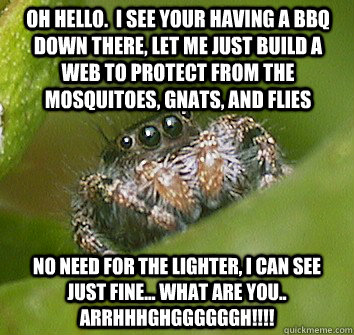 Oh hello.  I see your having a bbq down there, let me just build a web to protect from the mosquitoes, gnats, and flies No need for the lighter, I can see just fine... what are you.. ARRHHHGHGGGGGGH!!!!  Misunderstood Spider
