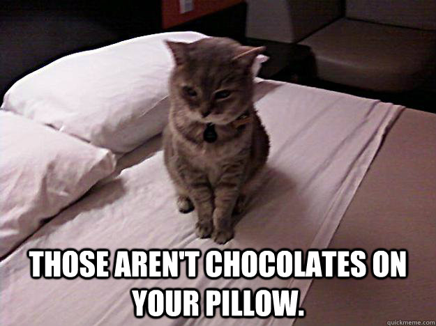  Those aren't chocolates on your pillow.  Pissed off cat