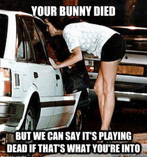 Your bunny died But we can say it's playing dead if that's what you're into  FB karma whore