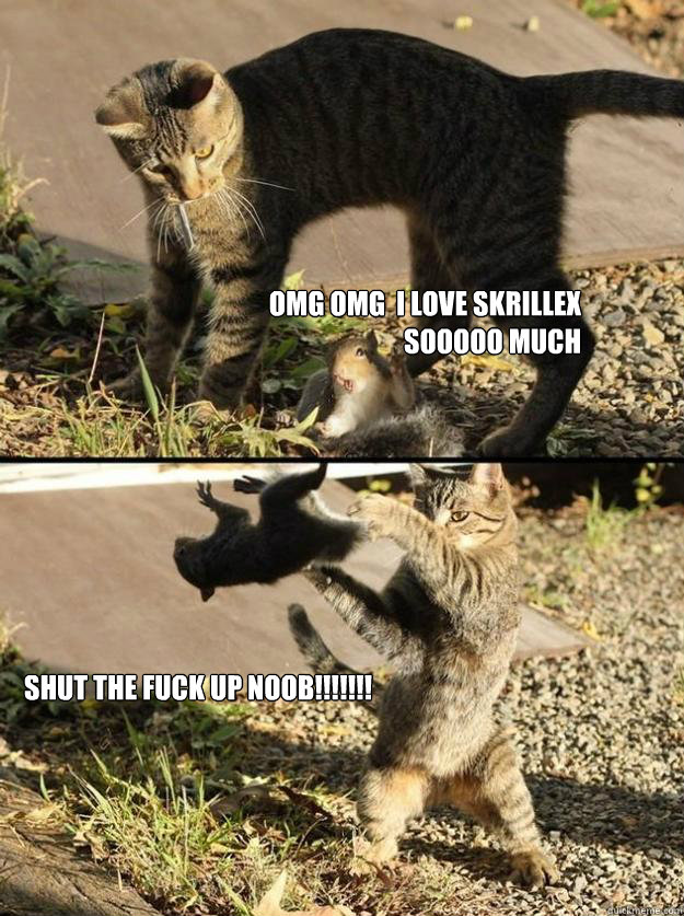 omg omg  i love skrillex sooooo much  SHUT THE FUCK UP noob!!!!!!! - omg omg  i love skrillex sooooo much  SHUT THE FUCK UP noob!!!!!!!  Annoying Squirrel