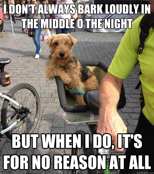 I don't always bark loudly in the middle o the night  but when i do, it's for no reason at all   The Most Interesting Dog in the World