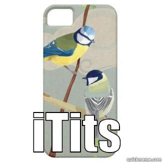 iTits case -                         ITITS Misc