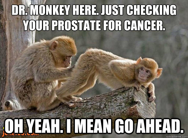 DR. Monkey here. Just checking your prostate for cancer. Oh yeah. I mean go ahead.  