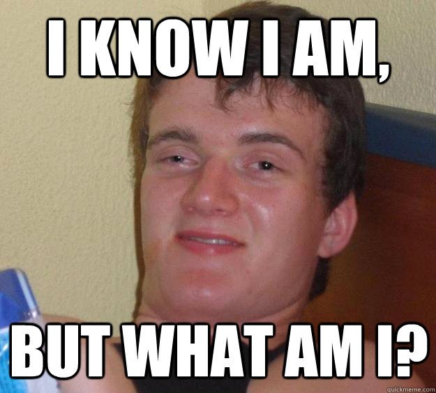 I know i am, but what am i? - I know i am, but what am i?  10 Guy