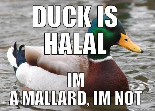 DUCK IS HALAL IM A MALLARD, IM NOT Actual Advice Mallard