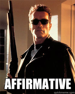  AFFIRMATIVE -  AFFIRMATIVE  Misc