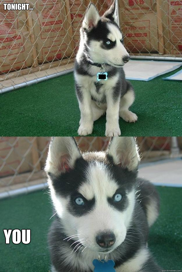 Tonight... you  Insanity puppy