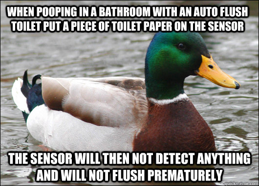 when pooping in a bathroom with an auto flush toilet put a piece of toilet paper on the sensor the sensor will then not detect anything and will not flush prematurely  Actual Advice Mallard