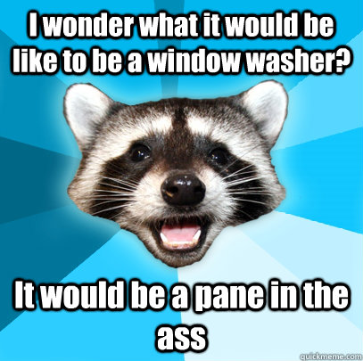 I wonder what it would be like to be a window washer? It would be a pane in the ass  Lame Pun Coon