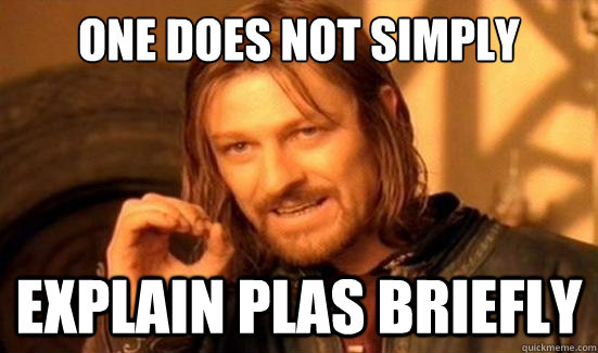 One Does Not Simply explain plas briefly  Boromir