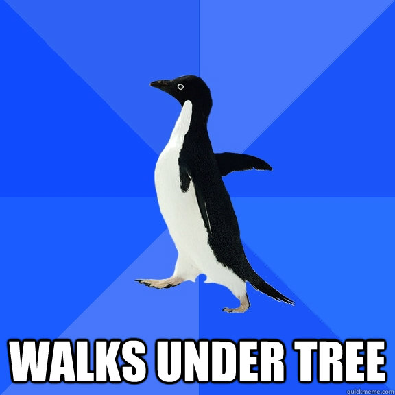  walks under tree  Socially Awkward Penguin