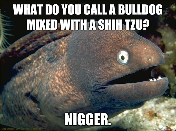 What do you call a bulldog mixed with a shih tzu?  Nigger.  - What do you call a bulldog mixed with a shih tzu?  Nigger.   Bad Joke Eel