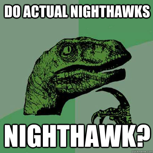 Do actual nighthawks nighthawk? - Do actual nighthawks nighthawk?  Philosoraptor