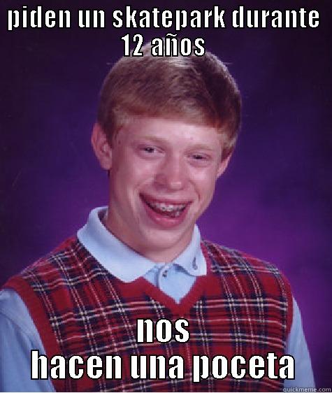 PIDEN UN SKATEPARK DURANTE 12 AÑOS NOS HACEN UNA POCETA Bad Luck Brian