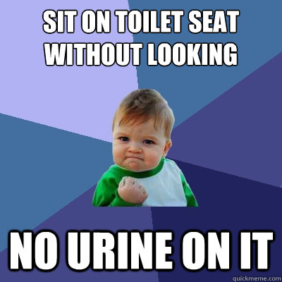 sit on toilet seat without looking no urine on it  Success Kid