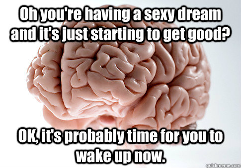 Oh you're having a sexy dream and it's just starting to get good? OK, it's probably time for you to wake up now. - Oh you're having a sexy dream and it's just starting to get good? OK, it's probably time for you to wake up now.  Scumbag Brain