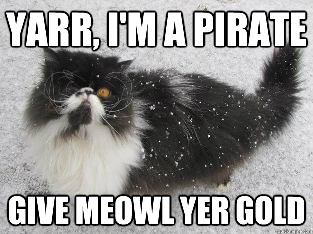 Yarr, I'm a pirate Give meowl yer gold  