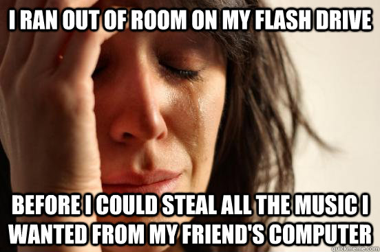 I ran out of room on my flash drive before i could steal all the music I wanted from my friend's computer  First World Problems
