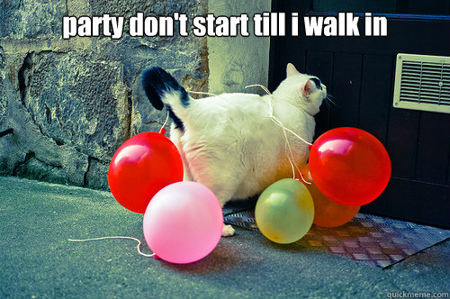 party don't start till i walk in   