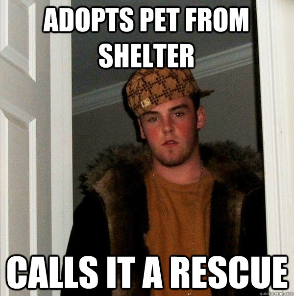 Adopts pet from shelter calls it a rescue  Scumbag Steve