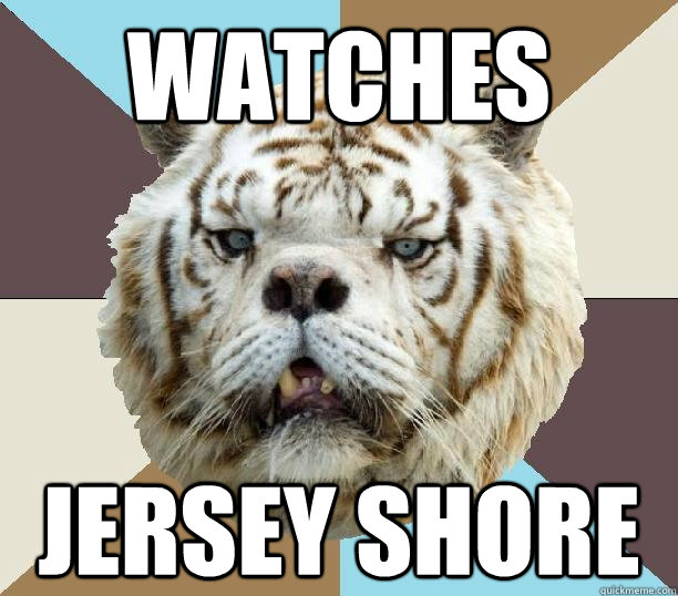 Watches Jersey shore - Watches Jersey shore  Kenny the Retarded Tiger