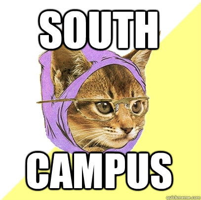 SOUTH CAMPUS  Hipster Kitty