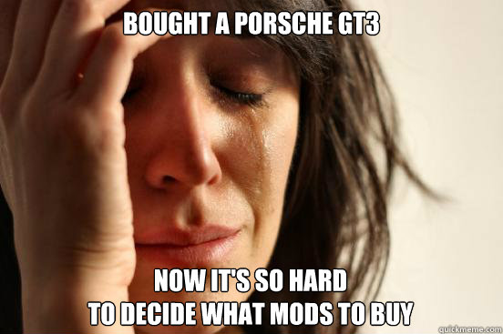 Bought a Porsche gt3 Now it's so hard 
to decide what mods to Buy  First World Problems