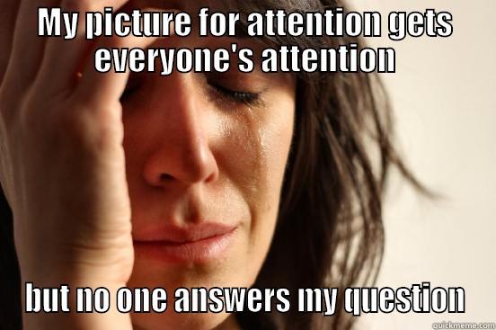 attention getting custom - MY PICTURE FOR ATTENTION GETS EVERYONE'S ATTENTION BUT NO ONE ANSWERS MY QUESTION First World Problems