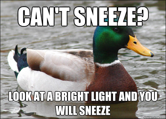 Can't sneeze? Look at a bright Light and you will Sneeze - Can't sneeze? Look at a bright Light and you will Sneeze  Actual Advice Mallard