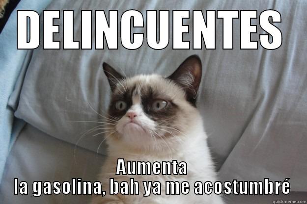 DELINCUENTES AUMENTA LA GASOLINA, BAH YA ME ACOSTUMBRÉ Grumpy Cat