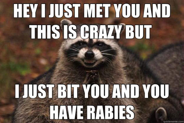 HEY I JUST MET YOU AND THIS IS CRAZY BUT  I JUST BIT YOU AND YOU HAVE RABIES  Evil Plotting Raccoon