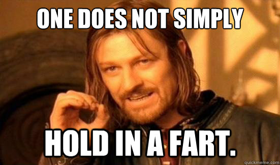 One Does Not Simply hold in a fart.  Boromir