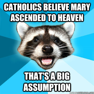Catholics believe Mary ascended to heaven That's a big assumption   Lame Pun Raccoon