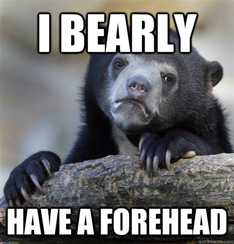 I bearly have a forehead  Confession Bear