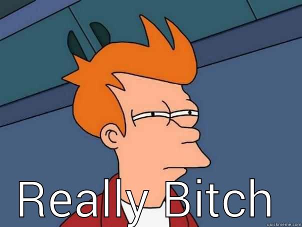  REALLY BITCH Futurama Fry