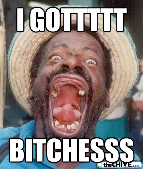 i gottttt bitchesss - i gottttt bitchesss  I got bitches