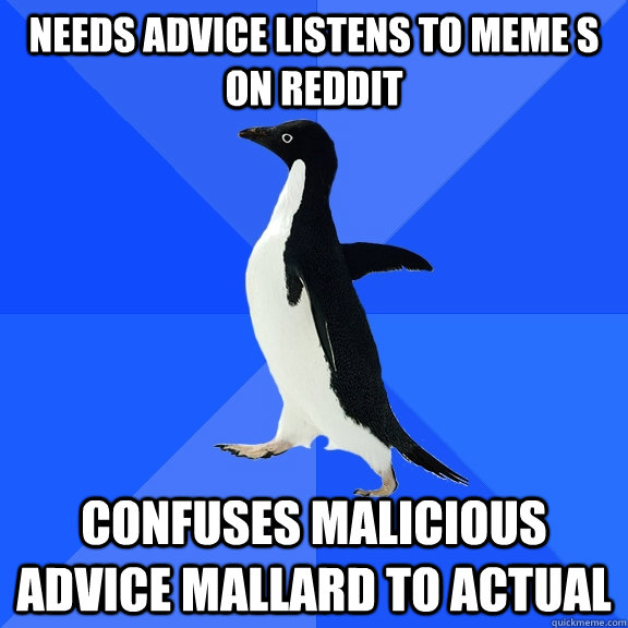 needs advice listens to meme s on reddit confuses malicious advice mallard to actual  Socially Awkward Penguin
